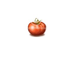 Heirloom Tomato